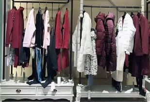 2018年中國服裝行業(yè)經(jīng)濟(jì)運(yùn)行分析 縮減版,下